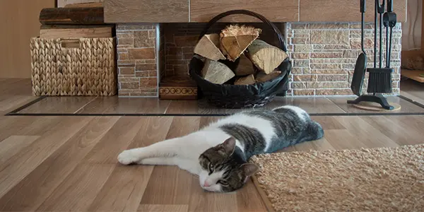 Katze, welche vor einem Holzofen auf einem Laminatboden vor dem Ofen liegt.