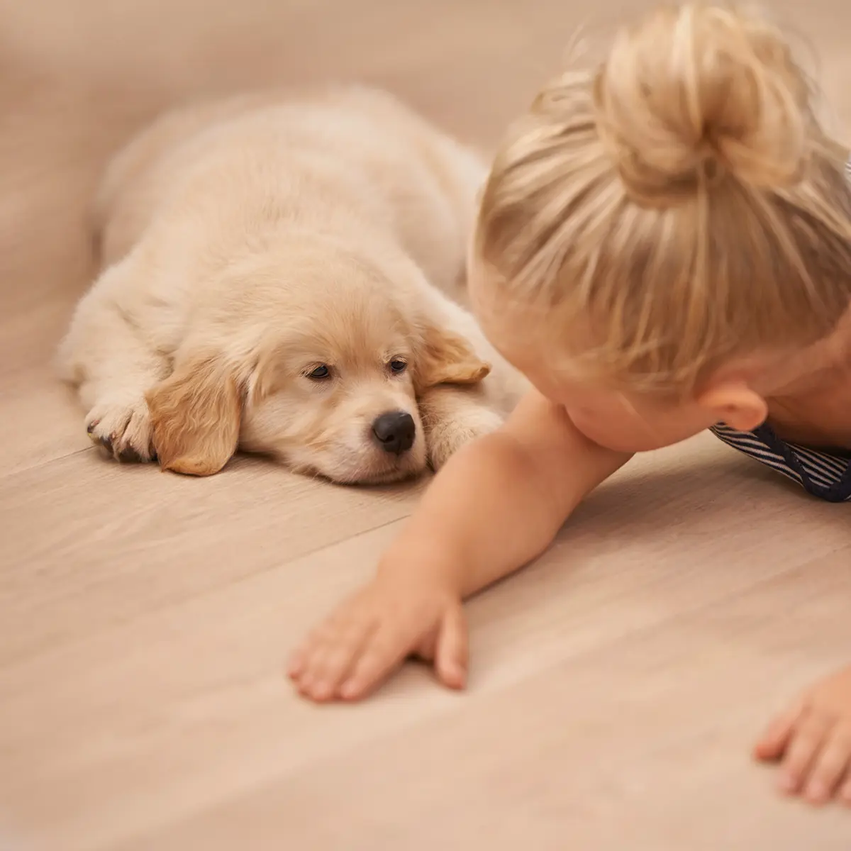 Kleines Mädchen mit Golden Retriever Hund auf dem Boden liegend